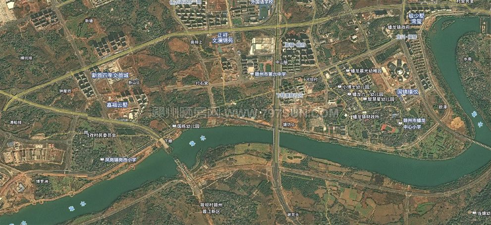 滨江大道卫星图.jpg