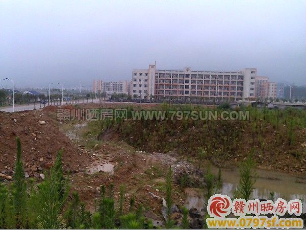寻乌县新中学南侧C地块拍出高价 成交价3.2亿元